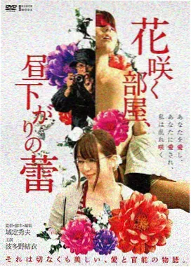 电影作品封面：长焦镜头中的旧城街景